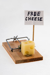 Image showing Mouse trap with cheese and 