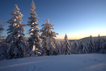 Image showing Winter wonderland vista