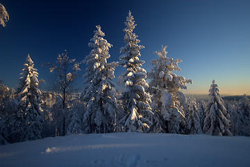 Image showing Winter wonderland vista