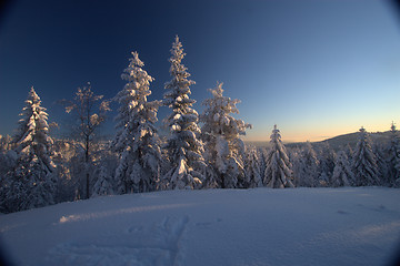 Image showing Winter wonderland vista