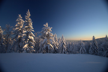 Image showing Winter wonderland sunset