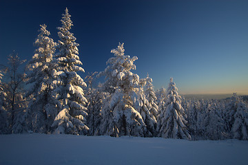 Image showing Winter wonderland sunset