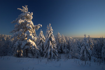 Image showing Winter wonderland sunset