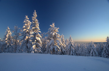 Image showing Winter wonderland sunset