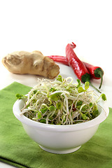 Image showing Radish sprouts