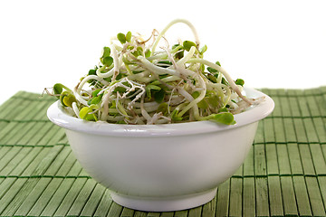 Image showing Radish sprouts