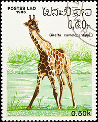 Image showing Giraffe stamp.