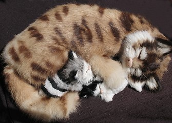 Image showing Toy cat with kittens