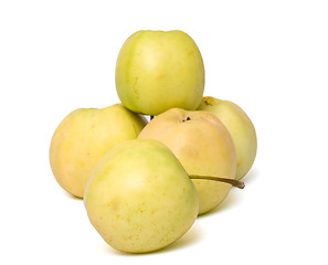 Image showing Apples.