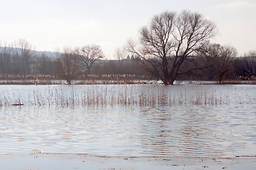 Image showing Flood in Germany