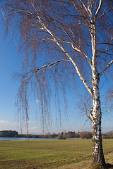 Image showing Flood in Germany