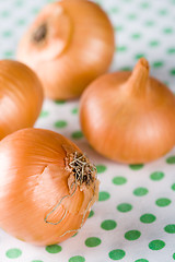 Image showing onions on textile background