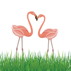 Image showing Two flamingo in love. Vector illustration
