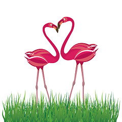 Image showing Two flamingo in love. Vector illustration