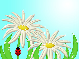 Image showing Ladybug Climbing Up Daisy Flower Stem