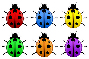 Image showing Ladybugs in Different Colors Isolated