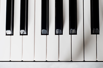 Image showing Piano keys