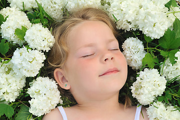 Image showing Little girl laying in flowers - snowball