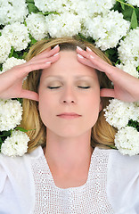 Image showing Young woman laying in flowers - snowballs