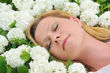 Image showing Young woman laying in flowers - snowballs