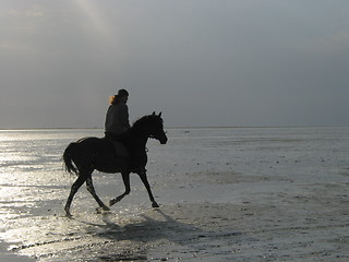 Image showing Horsewoman at low tide.