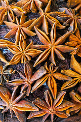 Image showing Anise texture