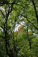 Image showing View of the golden domes of Orthodox cathedral through the foliage