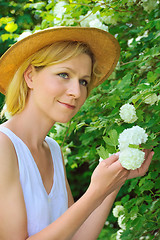 Image showing Young woman gardening - taking care of snowball