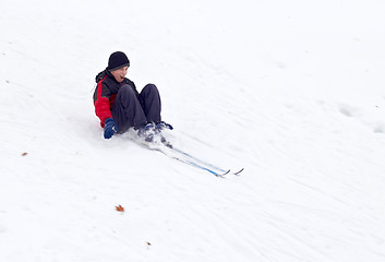 Image showing Extreme Skier