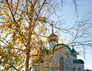 Image showing Birch on a background of a chapel