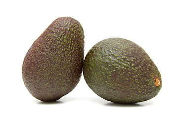 Image showing Two avocados isolated