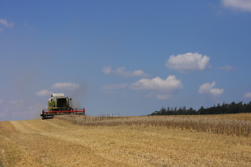 Image showing golden corn field with harvester