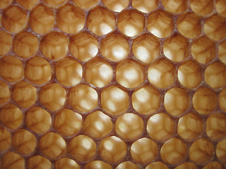 Image showing beeswax texture without honey