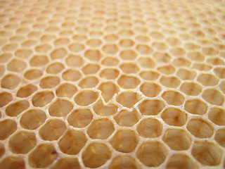Image showing beeswax texture without honey