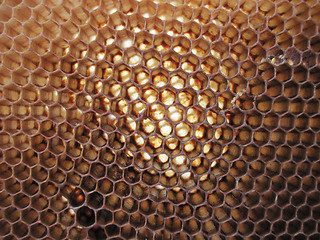 Image showing beeswax texture without honey