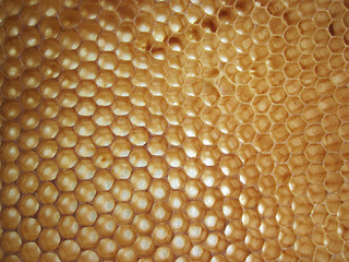 Image showing beeswax texture without honey