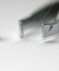 Image showing tweezers