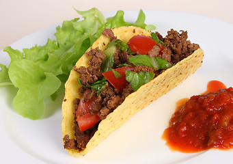 Image showing Taco on plate with salsa and lettuce
