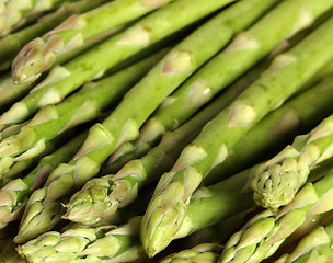 Image showing Asparagus spears group