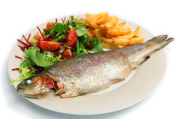 Image showing Grilled rainbow trout meal