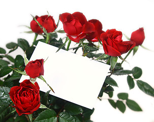Image showing Roses and gift card