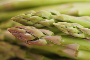 Image showing Asparagus spears macro