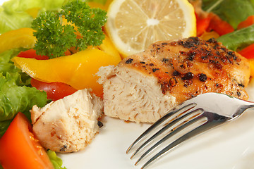 Image showing Pepper lemon chicken breast and salad