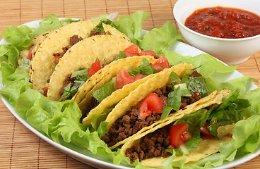 Image showing Tacos and salsa horizontal