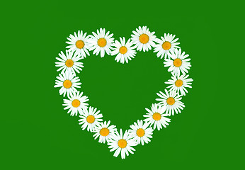 Image showing Daisy in love shape over green background