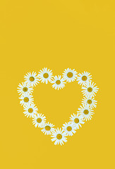 Image showing Daisy in love shape over yellow background