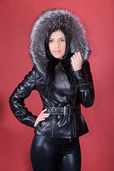 Image showing fur coat