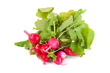 Image showing Fresh radishes