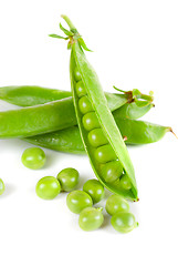 Image showing Ripe pea