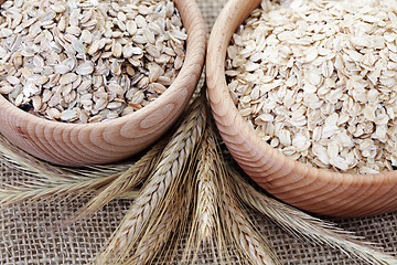 Image showing oats